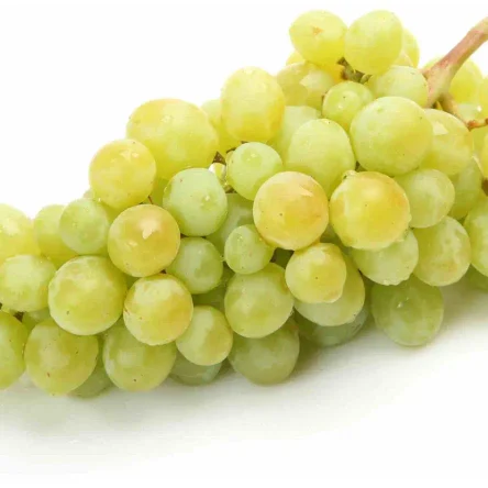 Виноград белый с косточкой