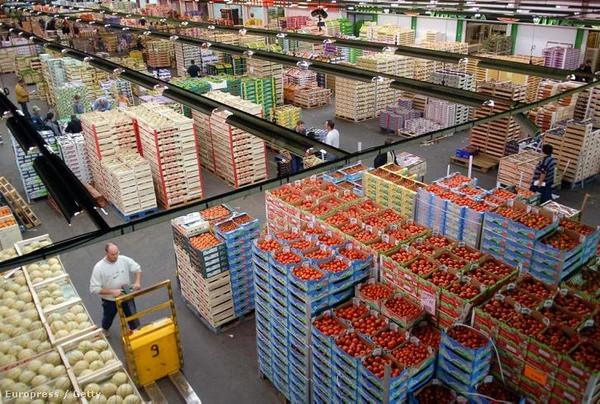 Оптовые поставки отборных фруктов